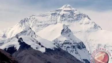 3 Penyebab Hipotermia di dalam area Gunung seperti yang digunakan Dialami Pendaki Carstensz Rombongan Fiersa Besari