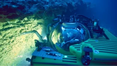 Ekosistem Makhluk-makhluk Misterius Ditemukan di area area Dasar Laut