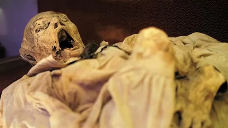 Patogen Misterius yang tersebut yang disebutkan Dikaitkan dengan Kutukan Mumi Terkuak