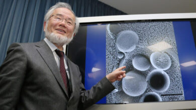 Profil Yoshinori Ohsumi, Peneliti Negeri Sakura yang digunakan yang dimaksud Mendapat Nobel setelahnya Meneliti Manfaat Puasa
