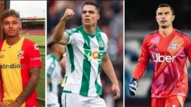Tok! DPR Setuju Permohonan Naturalisasi Emil Audero, Dean James, kemudian Joey Pelupessy