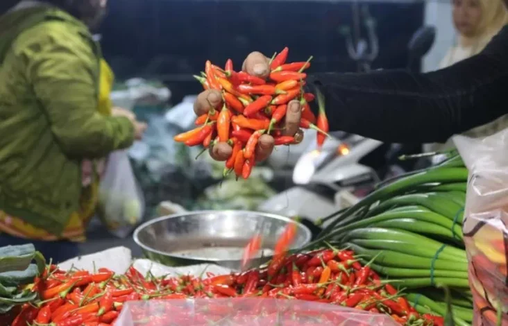 Update Harga Pangan Mingguan 9 Maret 2025, Bawang, Cabai kemudian Beras Masih Naik