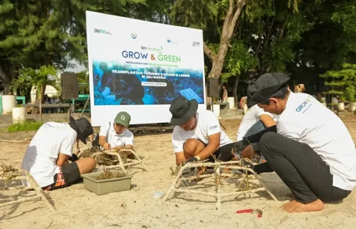 BRI Menanam Grow & Green Transplantasi Terumbu Karang, Selamatkan Ekosistem Laut pada NTB