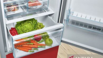 Sederet makanan yang digunakan dimaksud sebaiknya bukan ada disimpan pada “freezer”