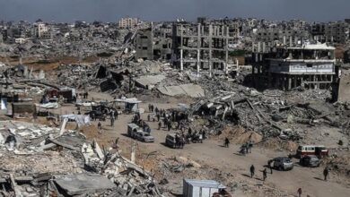 FAO peringatkan Kawasan Kawasan Gaza terancam kelaparan juga sektor pertanian hancur