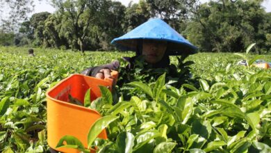 Perbedaan karyawan berikutnya buruh: Definisi, hak, dan juga status pekerjaan
